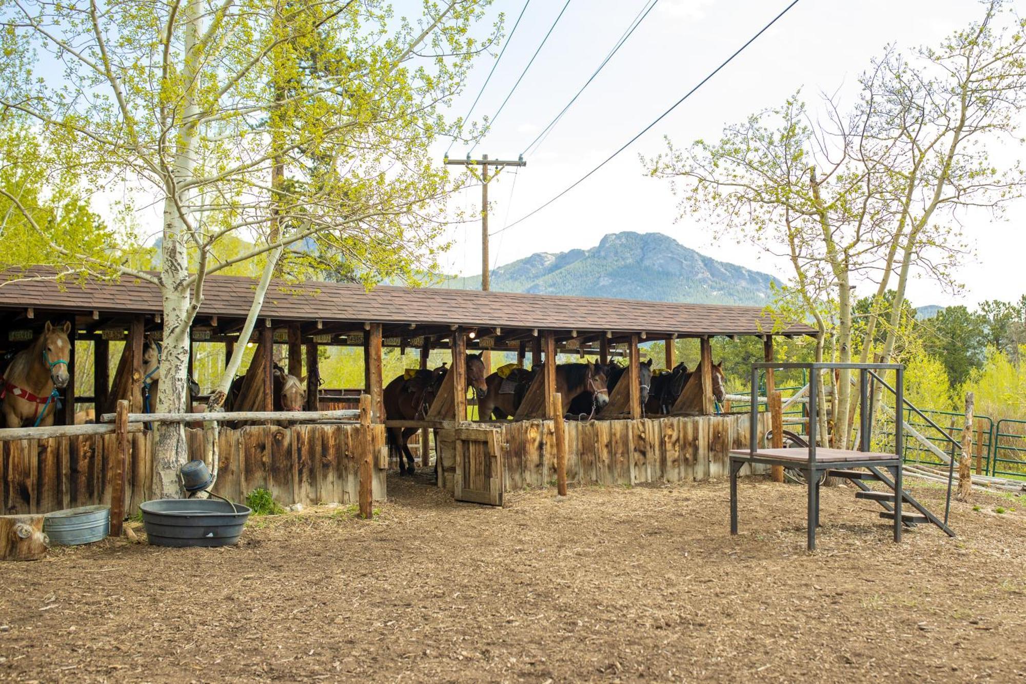 The Meeker Park Lodge Allenspark Экстерьер фото